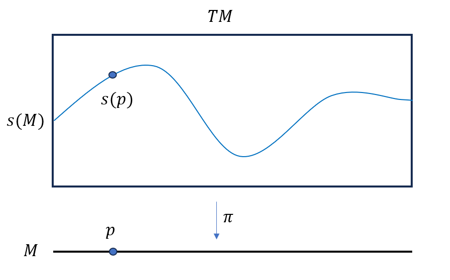 A section of a tangent bundle